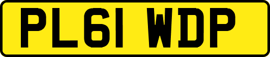 PL61WDP