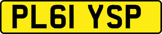 PL61YSP