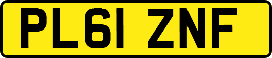 PL61ZNF
