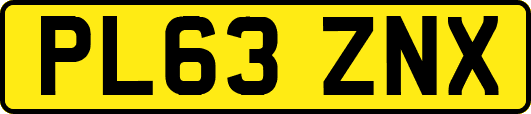 PL63ZNX