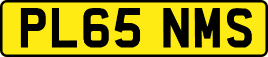 PL65NMS