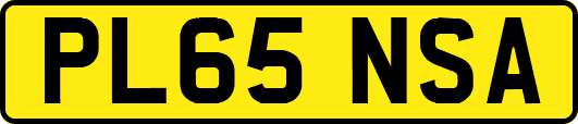 PL65NSA