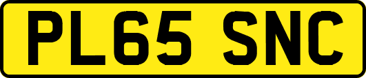 PL65SNC