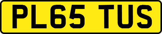 PL65TUS