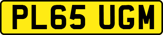 PL65UGM
