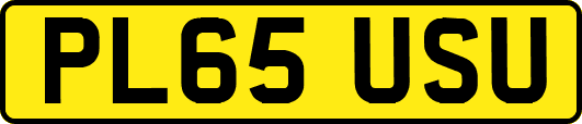 PL65USU