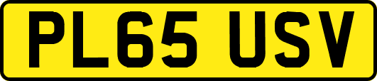 PL65USV