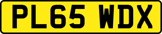 PL65WDX