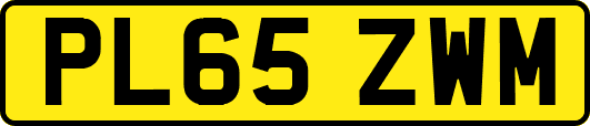 PL65ZWM