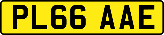 PL66AAE