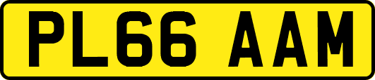 PL66AAM
