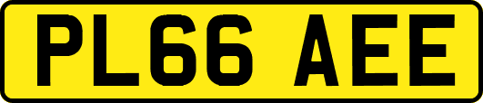 PL66AEE