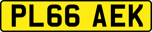 PL66AEK
