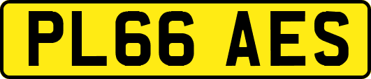 PL66AES