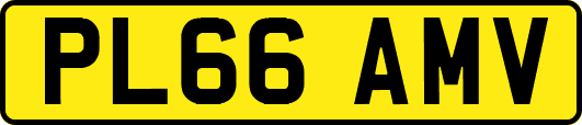 PL66AMV