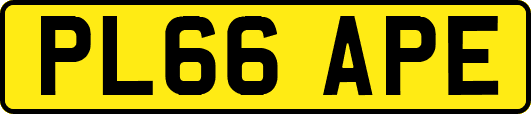 PL66APE