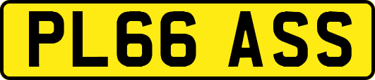 PL66ASS