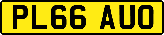 PL66AUO