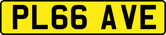 PL66AVE