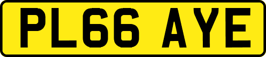PL66AYE