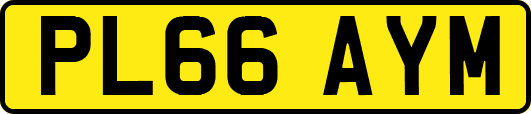 PL66AYM