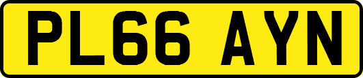 PL66AYN