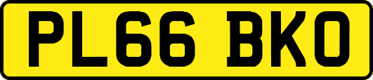 PL66BKO