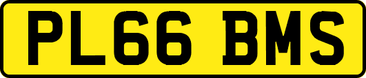 PL66BMS