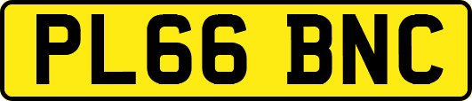 PL66BNC