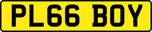 PL66BOY