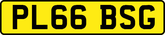 PL66BSG