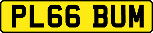 PL66BUM