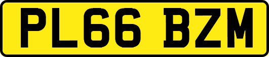 PL66BZM