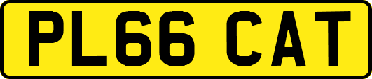 PL66CAT