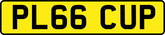 PL66CUP