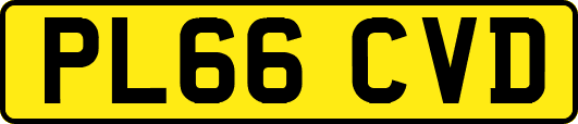 PL66CVD