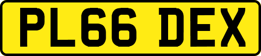 PL66DEX