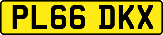 PL66DKX