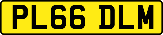 PL66DLM