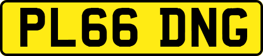 PL66DNG