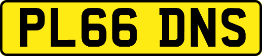PL66DNS