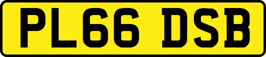 PL66DSB