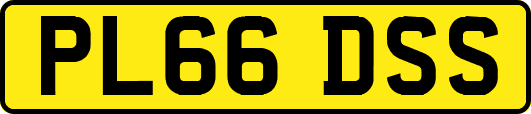 PL66DSS