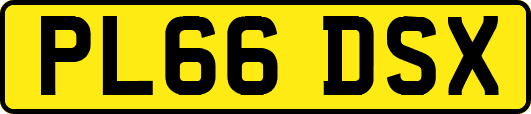 PL66DSX