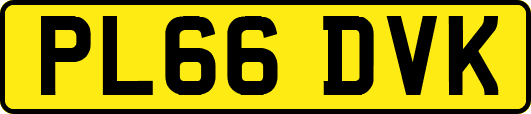 PL66DVK