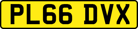PL66DVX