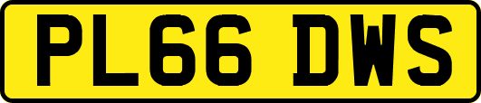 PL66DWS
