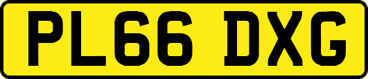 PL66DXG