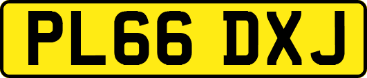 PL66DXJ