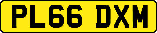 PL66DXM